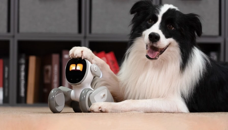 robot dog Loona