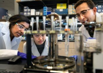 Researchers watch BacterAI at work