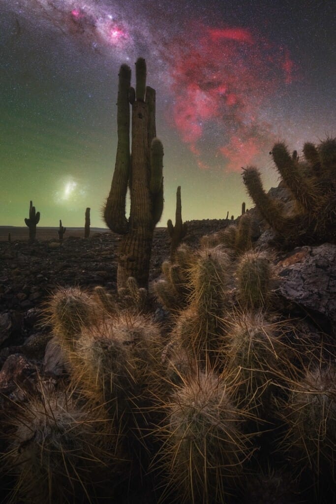 The Cactus Valley by Pablo Ruiz García